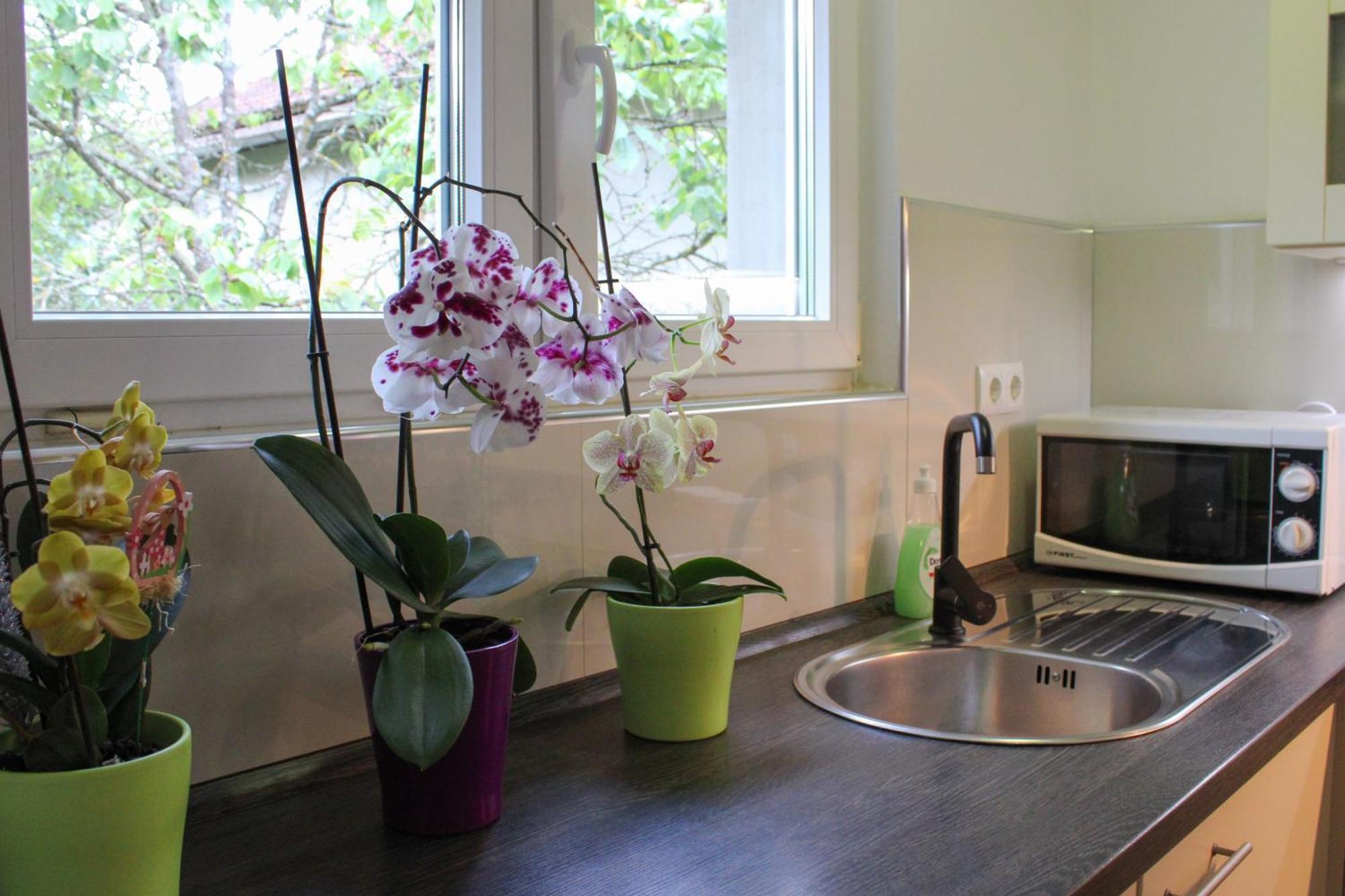 Apartman Nadja&Dani Kulen Vakuf Εξωτερικό φωτογραφία